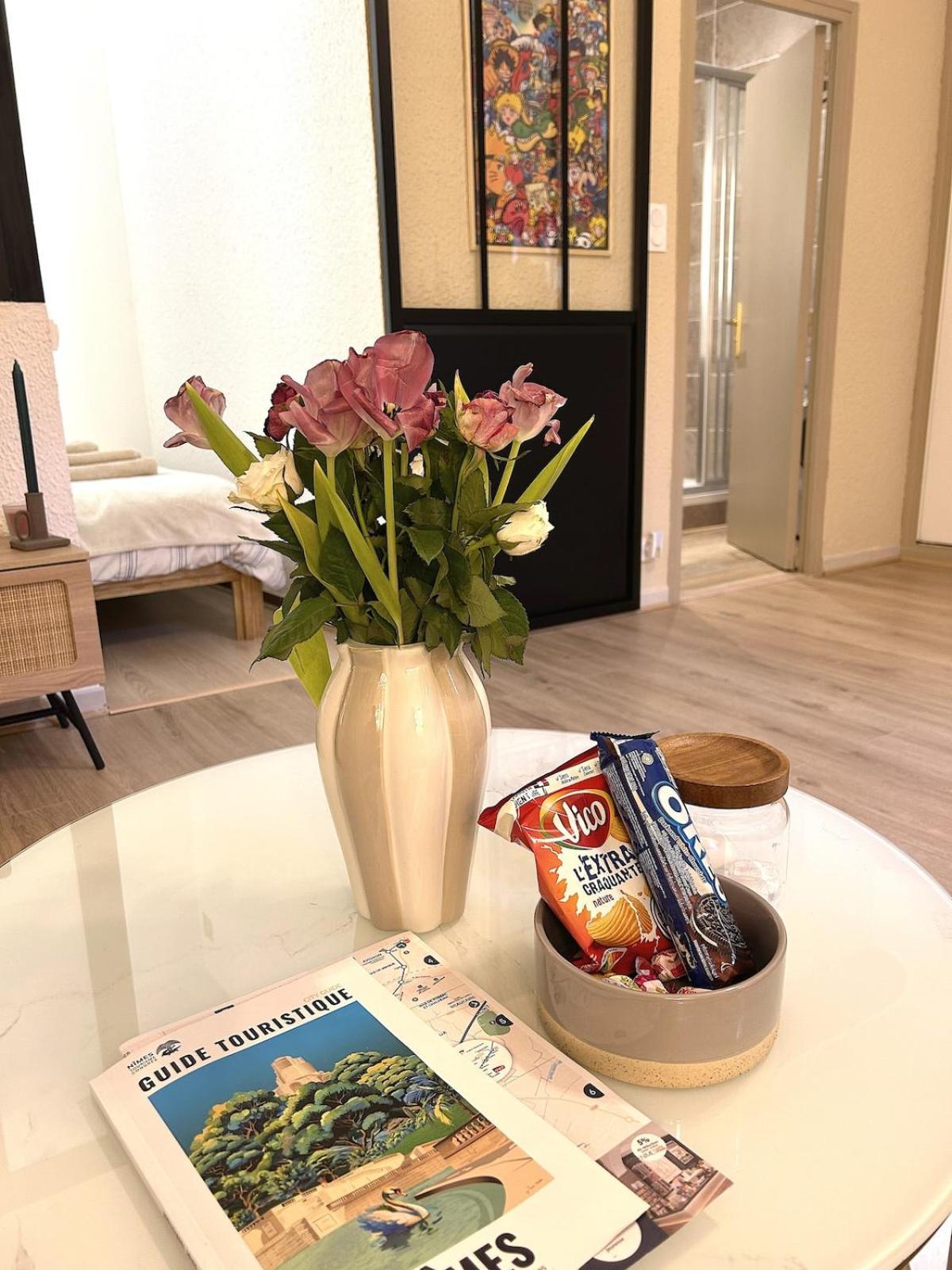 Le Cosy Nimois, Charme Et Terrasse Au Coeur De Apartment